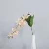ампельный морозник опт 10 штук  бежево-розовый