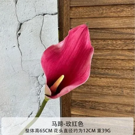 калла EVA фуксия