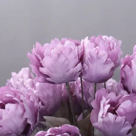 двойной тюльпан оранжевый