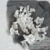 ветка колокольчика пышная молочно-белый