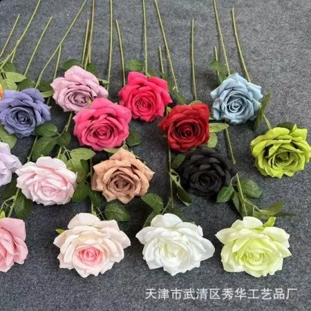 Одинарная остролистная роза голубой Одинарная остролистная роза голубой