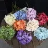 гортензия лепестки с узором красная
