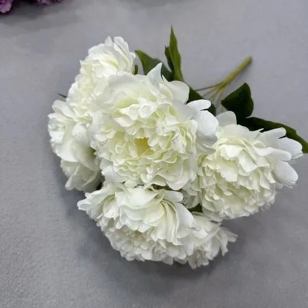 букет французских пионов 7 голов белый