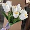 тюльпан 5 штук белый