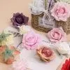 пачка 50 штук роза виола красная пачка 50 штук роза виола красная