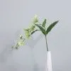 ампельный морозник опт 10 штук  светло-зеленый