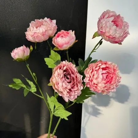 ранункулюс розовый