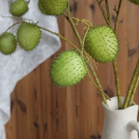 зеленый фрукт 2 шт зеленый