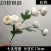 ветка ранункулюса белый ветка ранункулюса белый