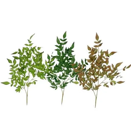 рускус  светло-коричневый