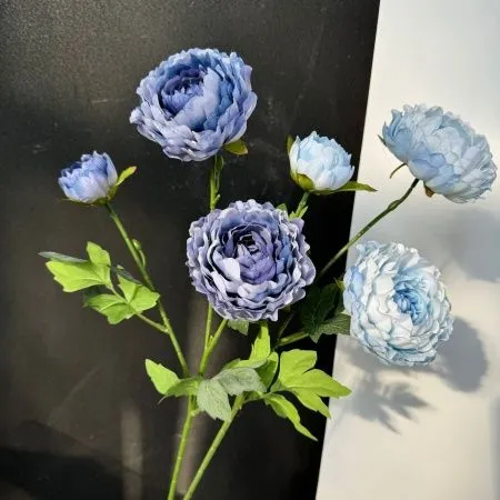 ранункулюс светло-голубой