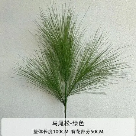 две ветки сосны гигант зеленая