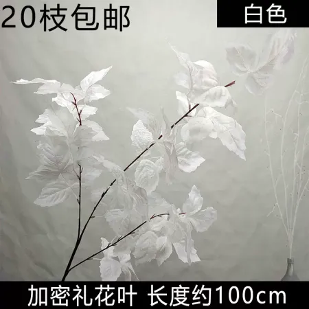 малина опт 10 штук белая