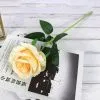 одиночная роза кремовая