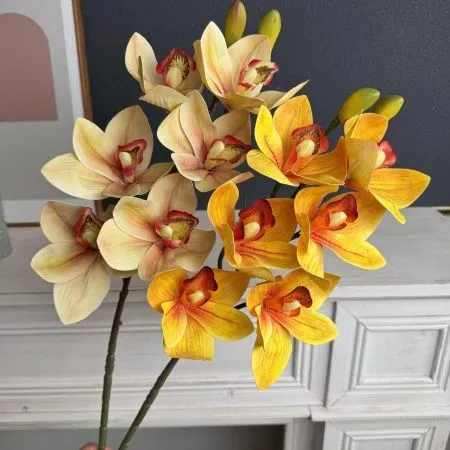 орхидея цимбидиум опт 5 штук желтая