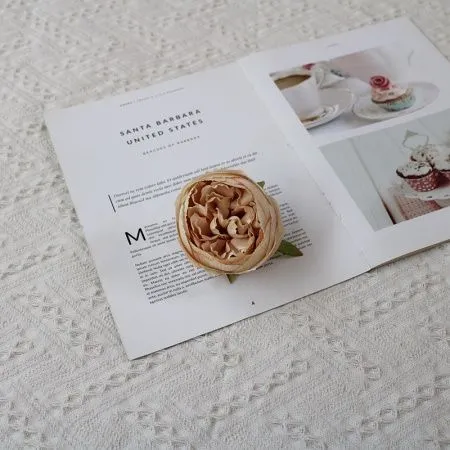 пачка 20 штук пион 8 см темное шампань