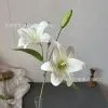 лилия 3D белая