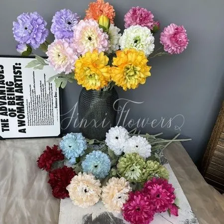 пион черная середина бело-розовый