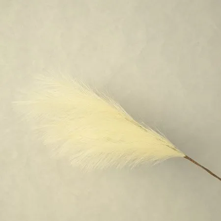 Пампасная трава опт 10 штук кремово-белый