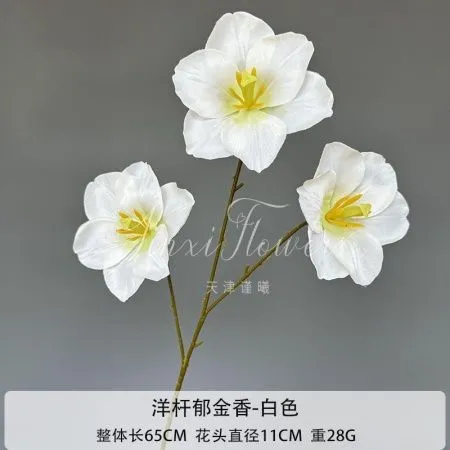 раскрытый тюльпан 3 на ветке белый