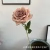 Одинарная остролистная роза кофейный