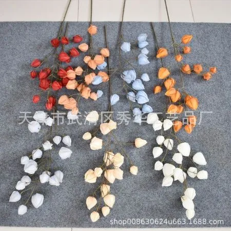 физалис 4 ветки голубой