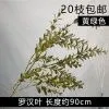 10 штук опт листья архата желто-зеленый