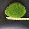10 штук камень из мха зеленый 9*12 см