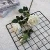 кустовая роза опт 10 штук белый