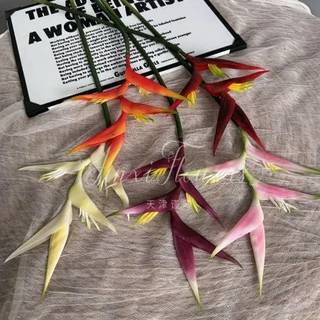 стрелиция светло-желтая