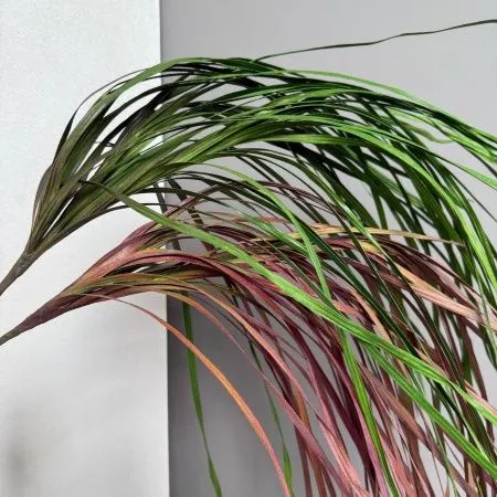 осока 2 штуки розово-бежевая