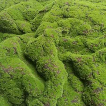 коврик мох камни стиль 2 зеленый