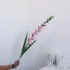 гладиолус опт 10 штук ткань розовый