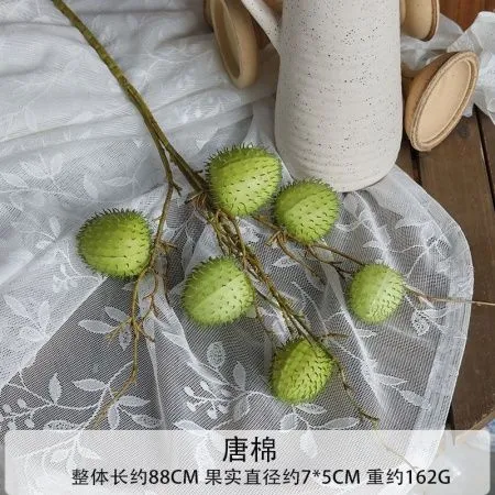 зеленый фрукт 2 шт зеленый