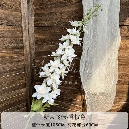 дельфиниум 5 штук шампань