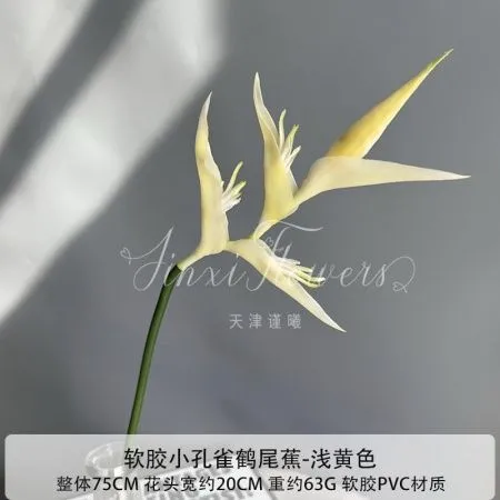 стрелиция светло-желтая