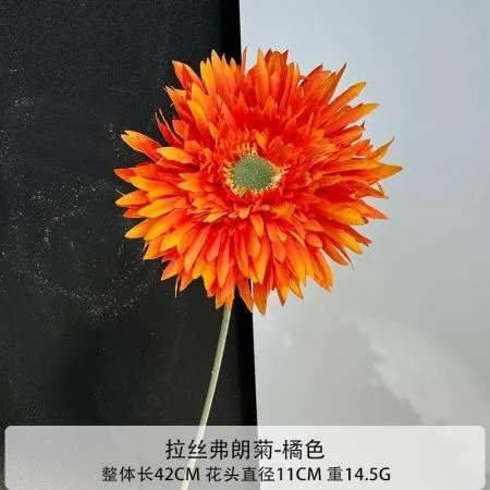 гербера 5 штук оранжевая