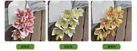 орхидея цимбидиум опт 5 штук бело-розовая