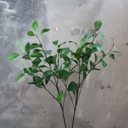 фикус опт 10 штук пропилен 52 см