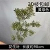 10 штук ветка арахиса светло-зеленый