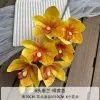 орхидея цимбидиум опт 5 штук желтая