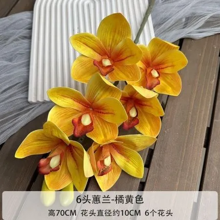 орхидея цимбидиум опт 5 штук желтая