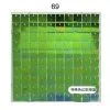 Панель с пайетками 30см х 30 см прозрачная основа цвет голографический сине-зеленый 69