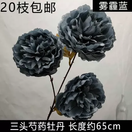 тройной махровый пион серо-синий