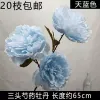 тройной махровый пион голубой