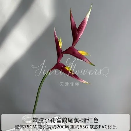 стрелиция бордовая