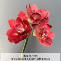 амариллис 10 штук красный