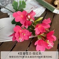 крокус 10 штук фуксия