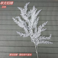 ветка риса белая