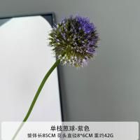 одуванчик зелено-фиолетовый